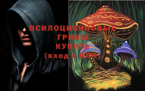 а пвп мука Няндома