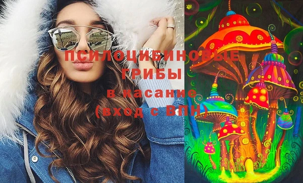 МДПВ Осинники