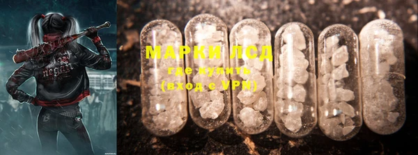 PSILOCYBIN Нязепетровск
