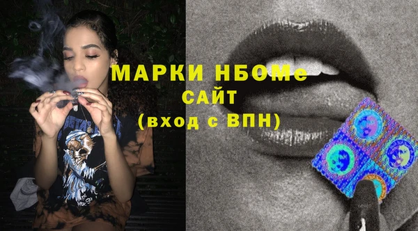 гидра Новозыбков
