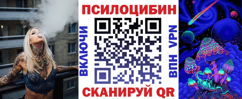 Псилоцибиновые грибы Psilocybine cubensis  OMG как войти  Змеиногорск 